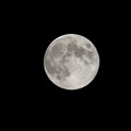 写真: 望月3