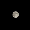 写真: 望月4