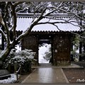 写真: 雪の大興善寺?