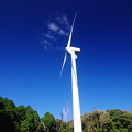写真: 荒れ野の風車に秋の風
