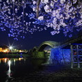 錦帯橋　夜桜の頃