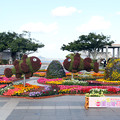 写真: 沖縄海洋博記念公園