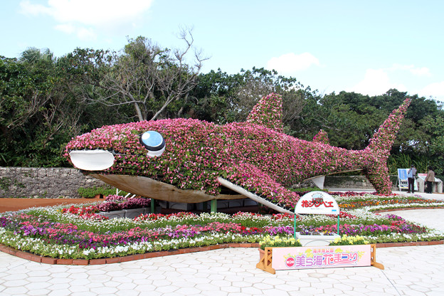 沖縄海洋博記念公園