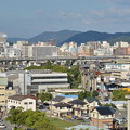 写真: 手柄山より　姫路市内を望む