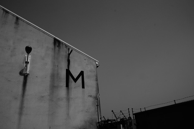 写真: "M"