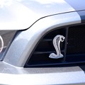 写真: Shelby Mustang