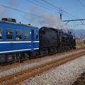 C61 20 hauls [ SL Minakami ] train