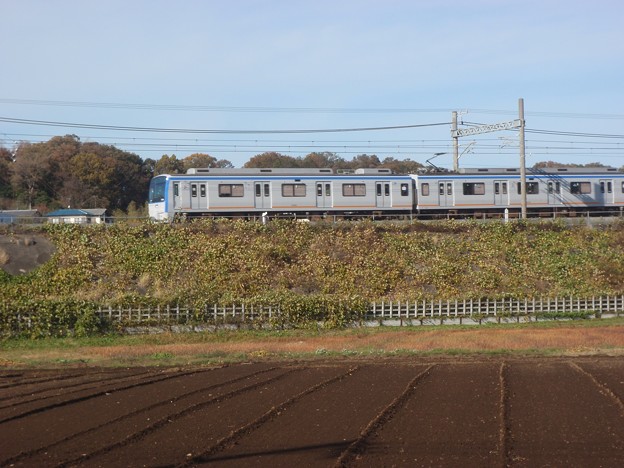 写真: Sotetsu 9000 on Mekujiri River bank