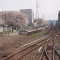 写真: 各務ヶ原の川崎重工の桜