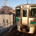 Photos: 愛知環状線の電車と高蔵寺駅頭の桜