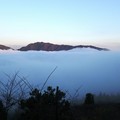 立雲峡から見た雲海（２）