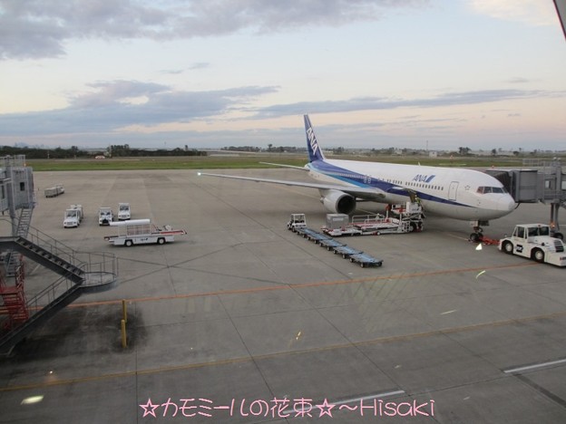 写真: 仙台空港