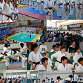 写真: 2013世界拳法選手権大会の様子