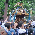 写真: 八幡祭り 神輿渡御 0817 064