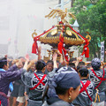写真: 八幡祭り 神輿渡御 0817 069