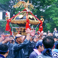 写真: 八幡祭り 句 神輿渡御 ググる 0817 070
