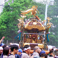 写真: 八幡祭り 神輿渡御 0817 073