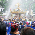 写真: 八幡祭り 神輿渡御 0817 102