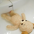 写真: 洗面台でお風呂くまこ