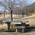 写真: 引地川親水公園のベンチ