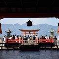 写真: 厳島神社の本殿から臨む絶景