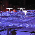 写真: 札幌大通り公園ホワイトイルミネーション