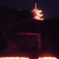 ライトアップ西国寺♪