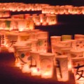 写真: 西国寺の灯り-1