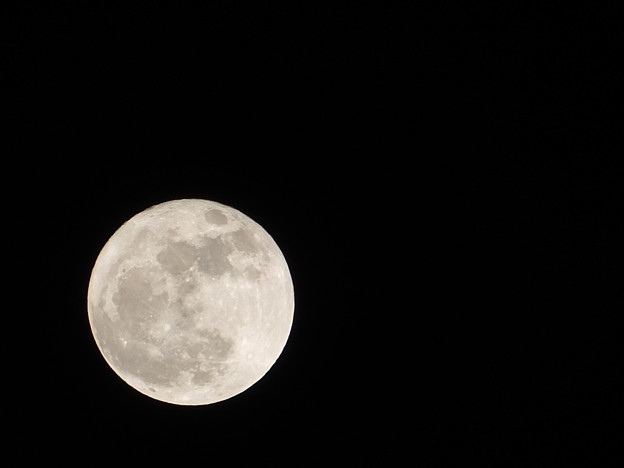 写真: 2014年最初で最小の満月