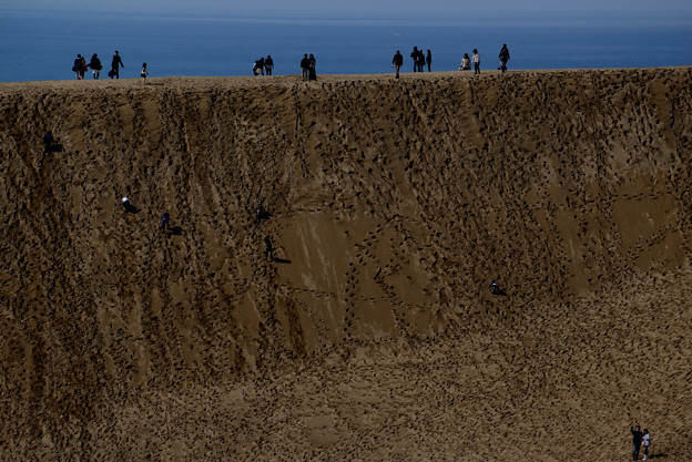 写真: 鳥取砂丘 馬の背