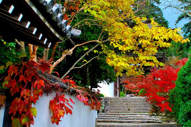 写真: 秋色もようの山門