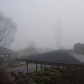写真: 023b3_20140122霧の朝（3）