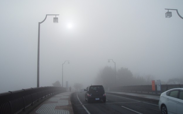 写真: 023b4_20140122霧の朝（4）