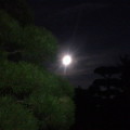 お月見
