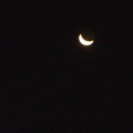 写真: 東の空にくっきりと下弦の月