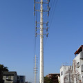 写真: 川世線５１号鉄塔