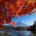 田貫湖の秋