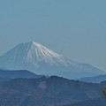 写真: 富幕山へ今年☆トミー９１回登頂