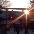 写真: 本日の靖国神社。