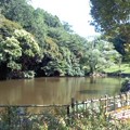 写真: 鎌倉中央公園（双子池・上池）。