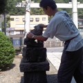 写真: 狛犬ごしごし（8月19日、塩釜神社）
