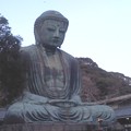 写真: 鎌倉大仏（11月18日、高徳院）