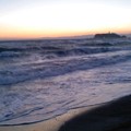 写真: 夕波に鯨（11月18日、江ノ島）