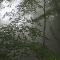 写真: 霧降高原 C07030