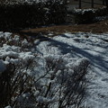写真: 雪の翌日 F8265