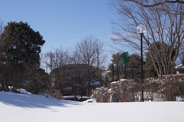 写真: 雪の翌日_公園 C08403