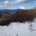 写真: 大観山からの富士山雪化粧