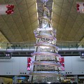 写真: HKG Airport Christmas Tree