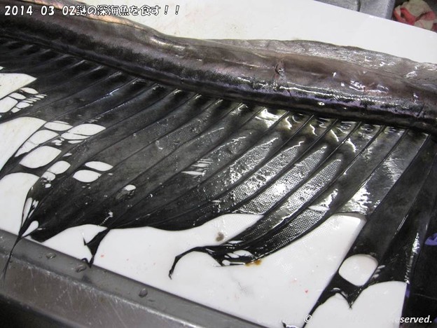 写真: 2014-03-02謎の深海魚を食す！！ (5)