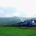 写真: ＳＬくん　　大井川鉄道